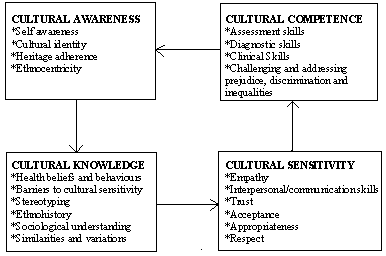 cultural competency model